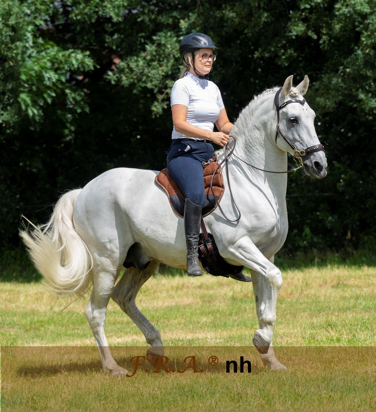 F.R.A® Dardo barbackasadel / ridpad 'SPS',  full, svart - 2