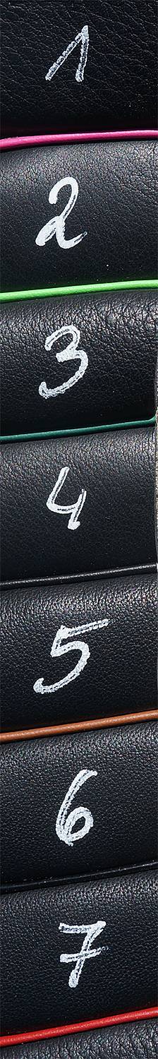 Gaiter Dressage V1 (treeless with padded flaps), black - 19