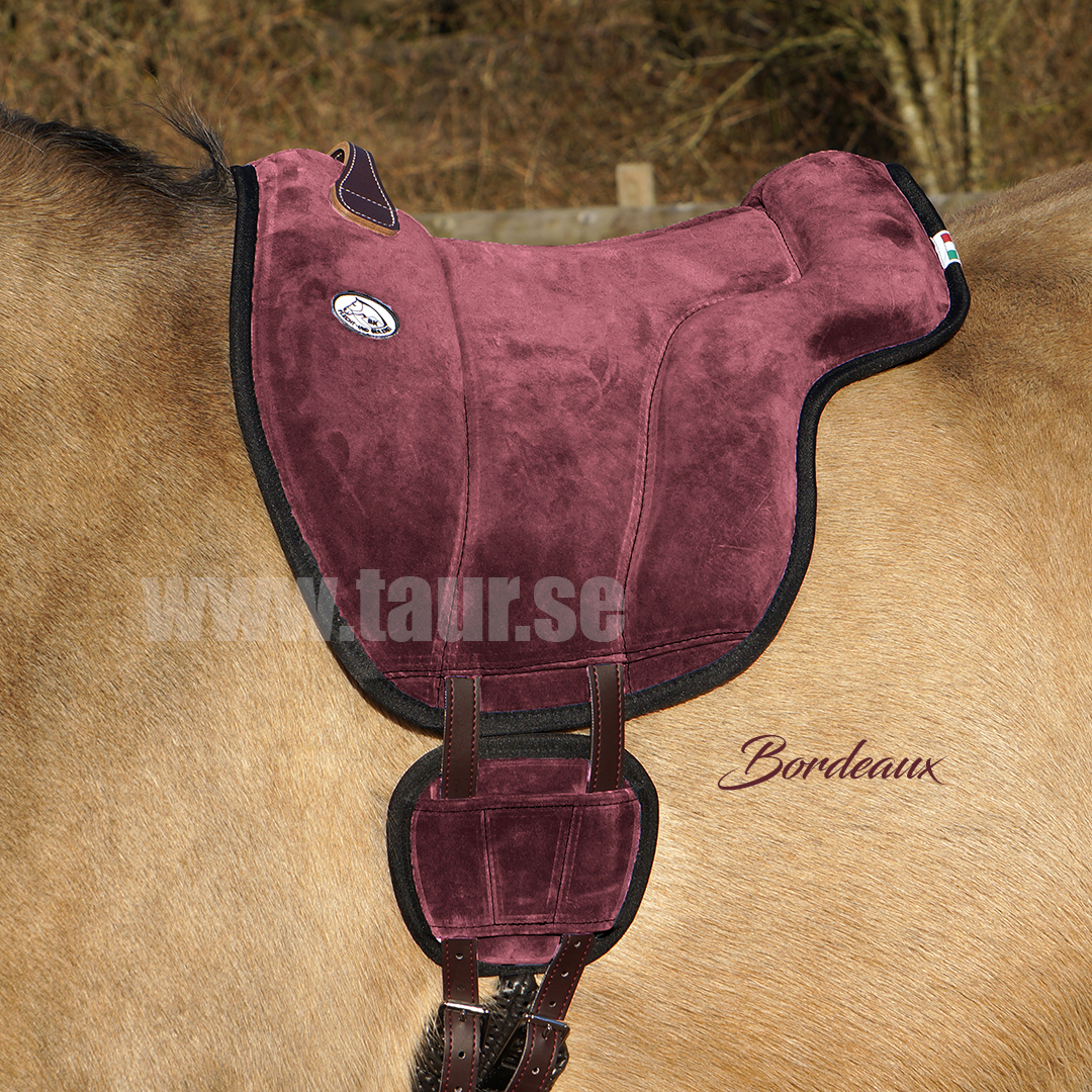 Brockamp ride pad / barebackpad in suede 'Special', bordeaux - 2