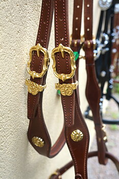 Marjoman Portuguese Cortezia Bridle inkl. enkel tygel