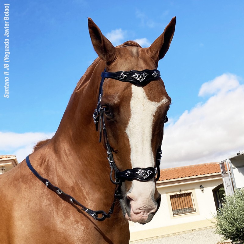 Marjoman Portuguese Cortezia Bridle incl. one rein - 15