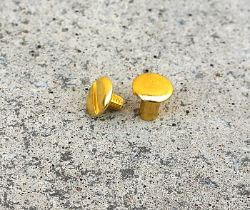 Chicagoskruv / skruvnit, 8 mm, guld