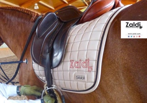 Zaldi Dressage Kira Klass - 5