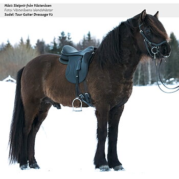 Gaiter Dressage V2 (bomlös med vadderade kåpor), brun