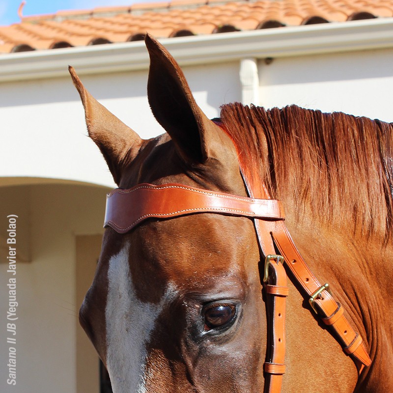 Marjoman Working Bridle incl. rein - 8
