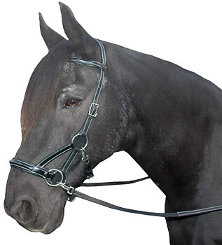 F.R.A® Flandy Sidepull inkl. tyglar, svart
