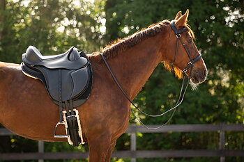 Barefoot® Nottingham PRO / (Narrow seat!)