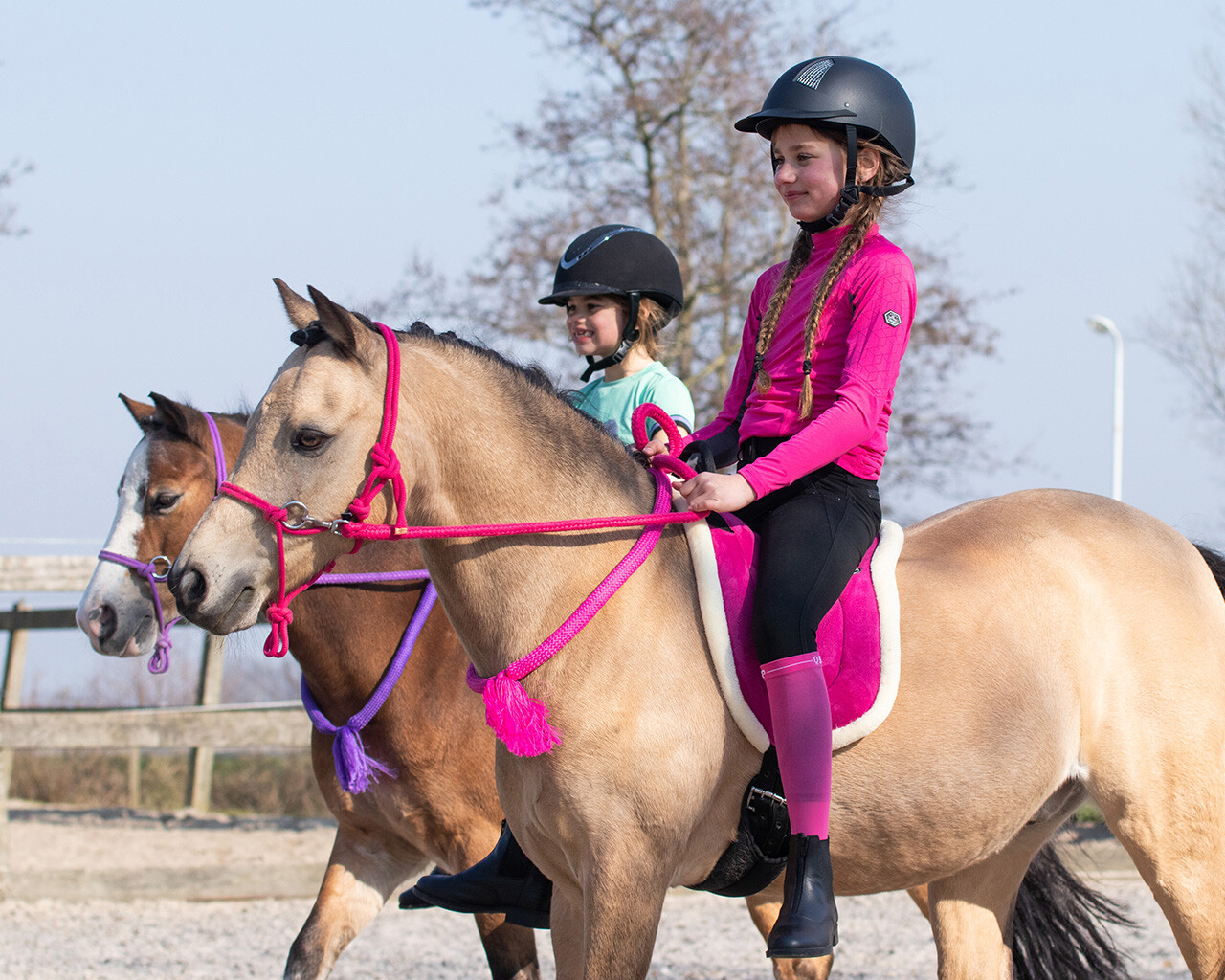 Rope halter for riding QHP, with reins, fuchsia pink - 4