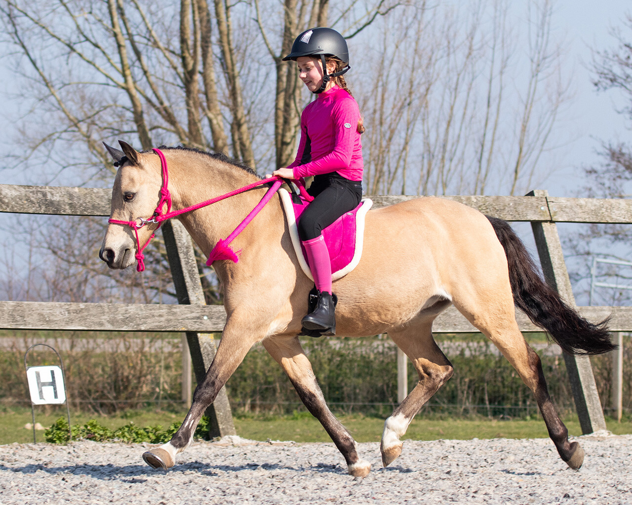 Rope halter for riding QHP, with reins, fuchsia pink - 5