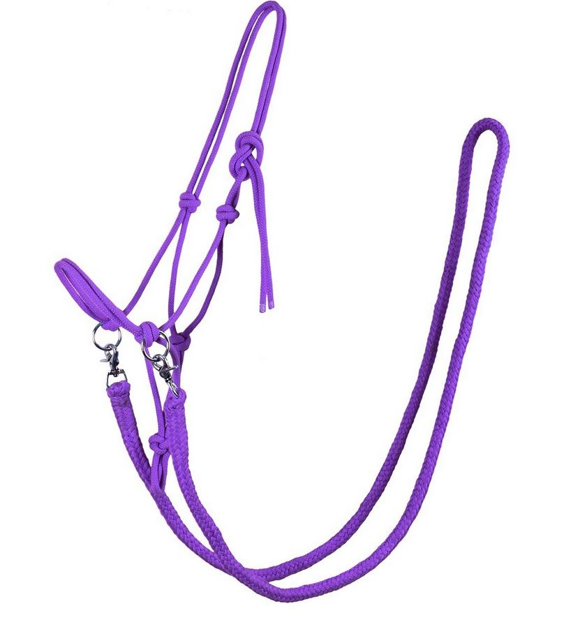 Rope halter for riding QHP, with reins, purple - 4