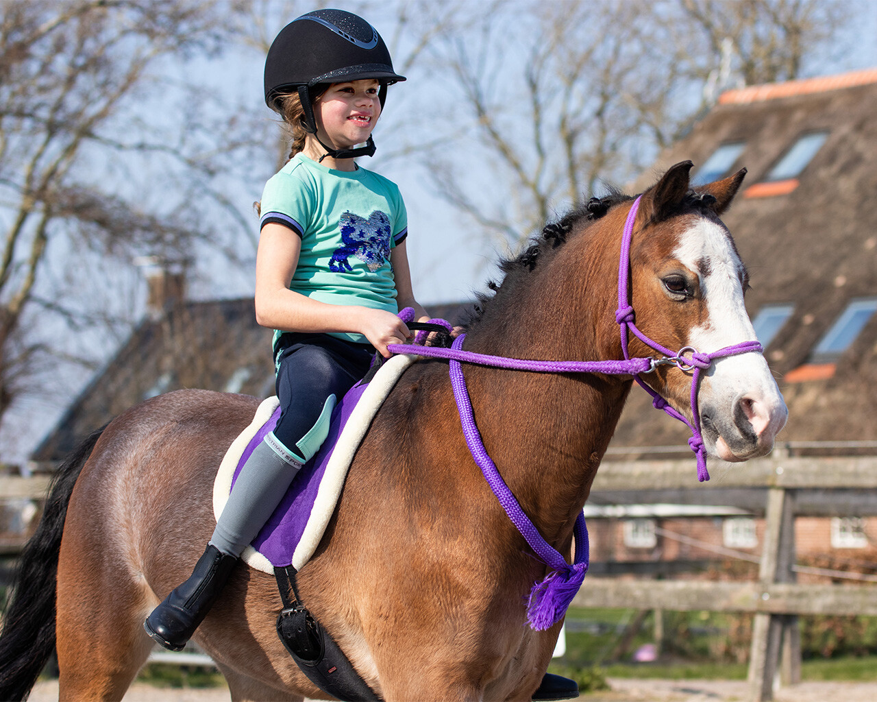 Rope halter for riding QHP, with reins, purple - 3