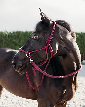 Ridrepgrimma med tyglar QHP, burgundy