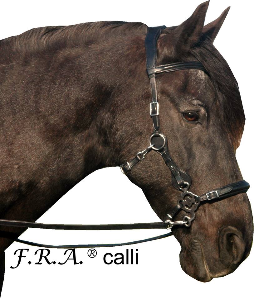 Hackamorebridle F.R.A® Calli (complete) - 4