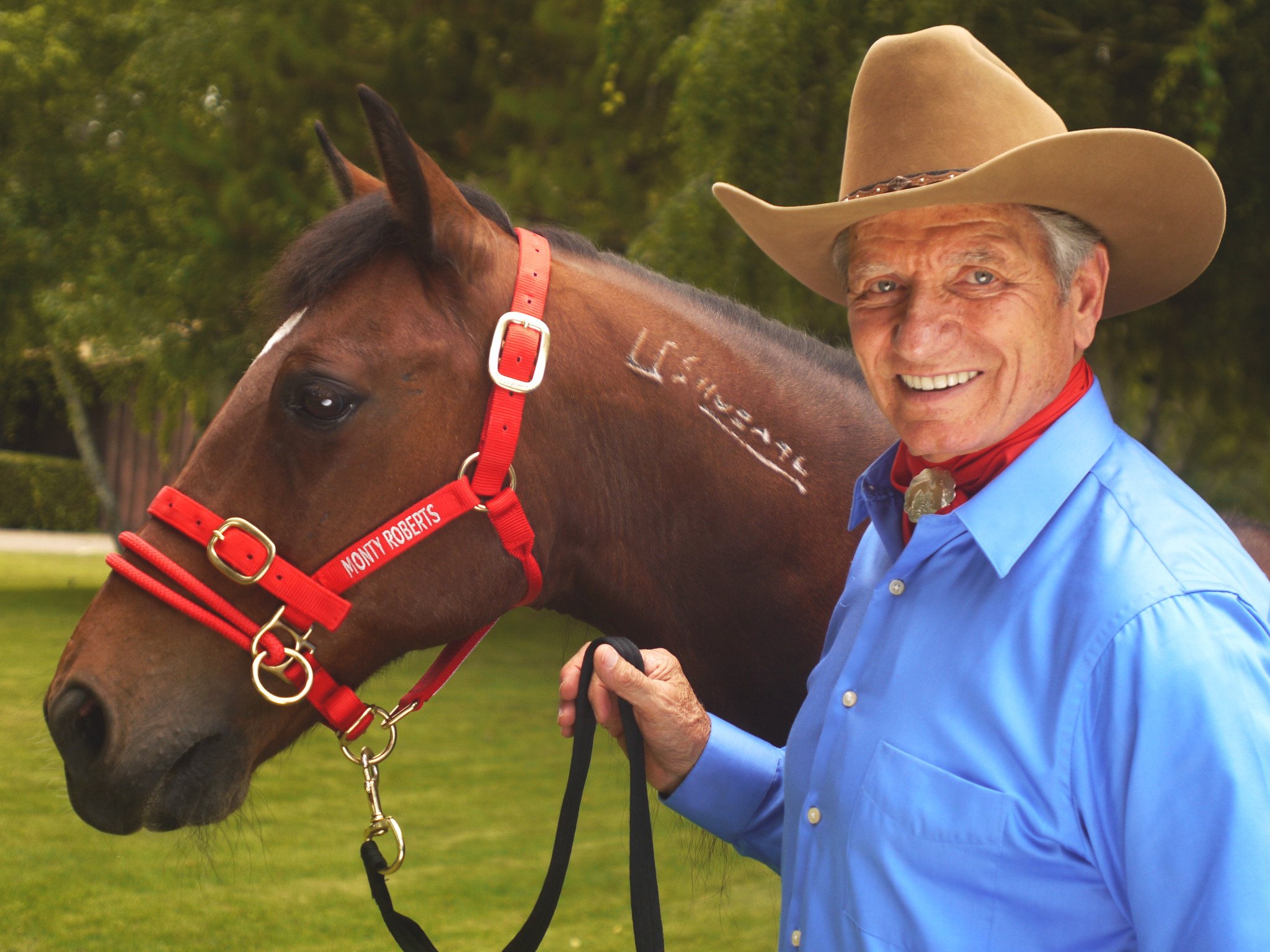 Monty Roberts DUALLY™  red / Small - 2