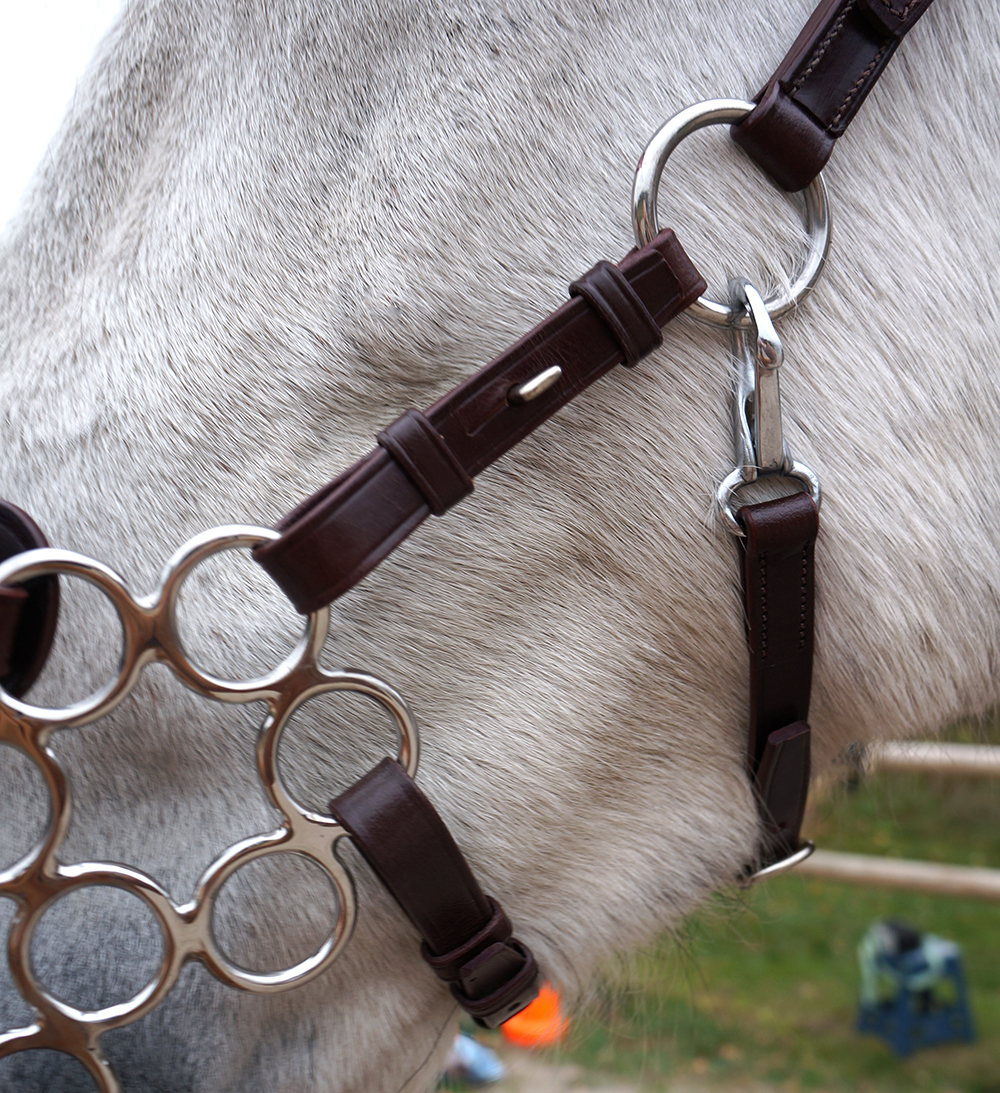Hackamorebridle F.R.A® Aram - 4