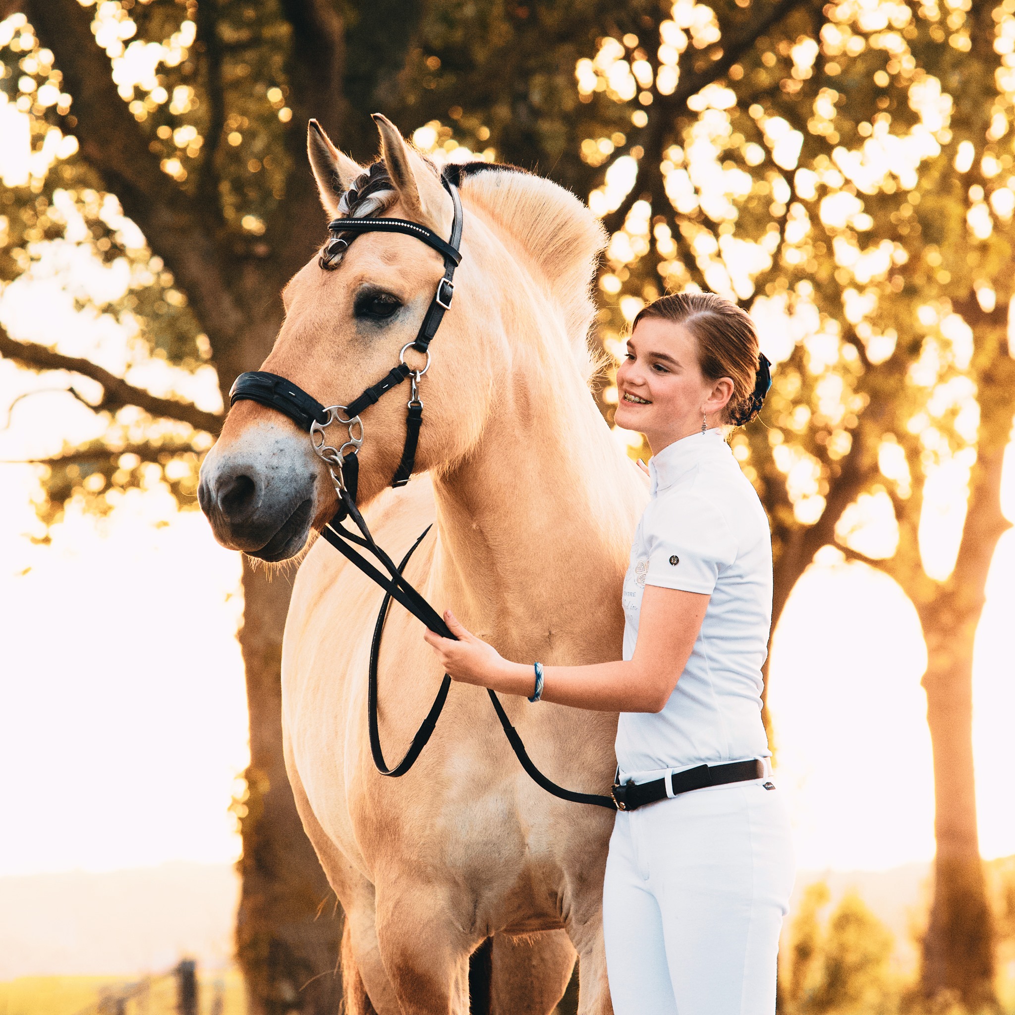 Hackamorebridle F.R.A® Aram - 2