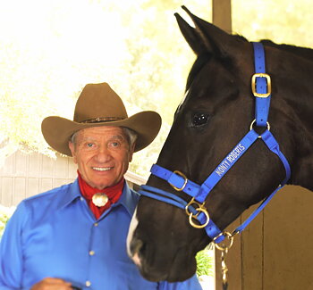 Monty Roberts träningsgrimma DUALLY™  - Large / Blå (stora halvblod, grova huvuden, kallblod mfl.) 