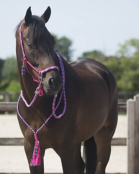 Ridrepgrimma med halsring & tyglar QHP 'Liberty', fuchsiarosa