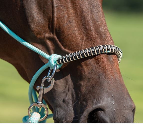 Rope halter combi Liberty QHP, aqua - 4