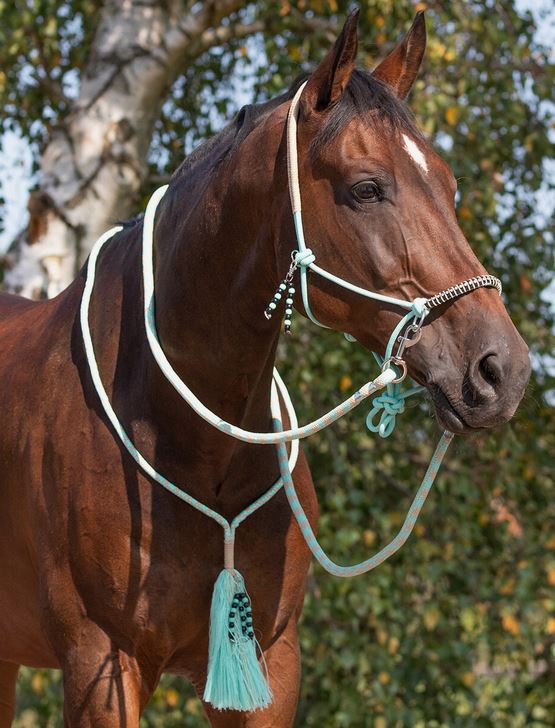 Rope halter combi Liberty QHP, aqua - 2