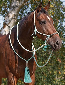 Ridrepgrimma med halsring & tyglar QHP 'Liberty', aqua