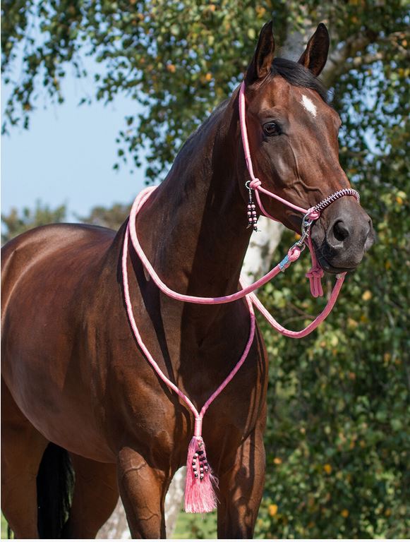 Rope halter combi Liberty QHP, light pink - 3