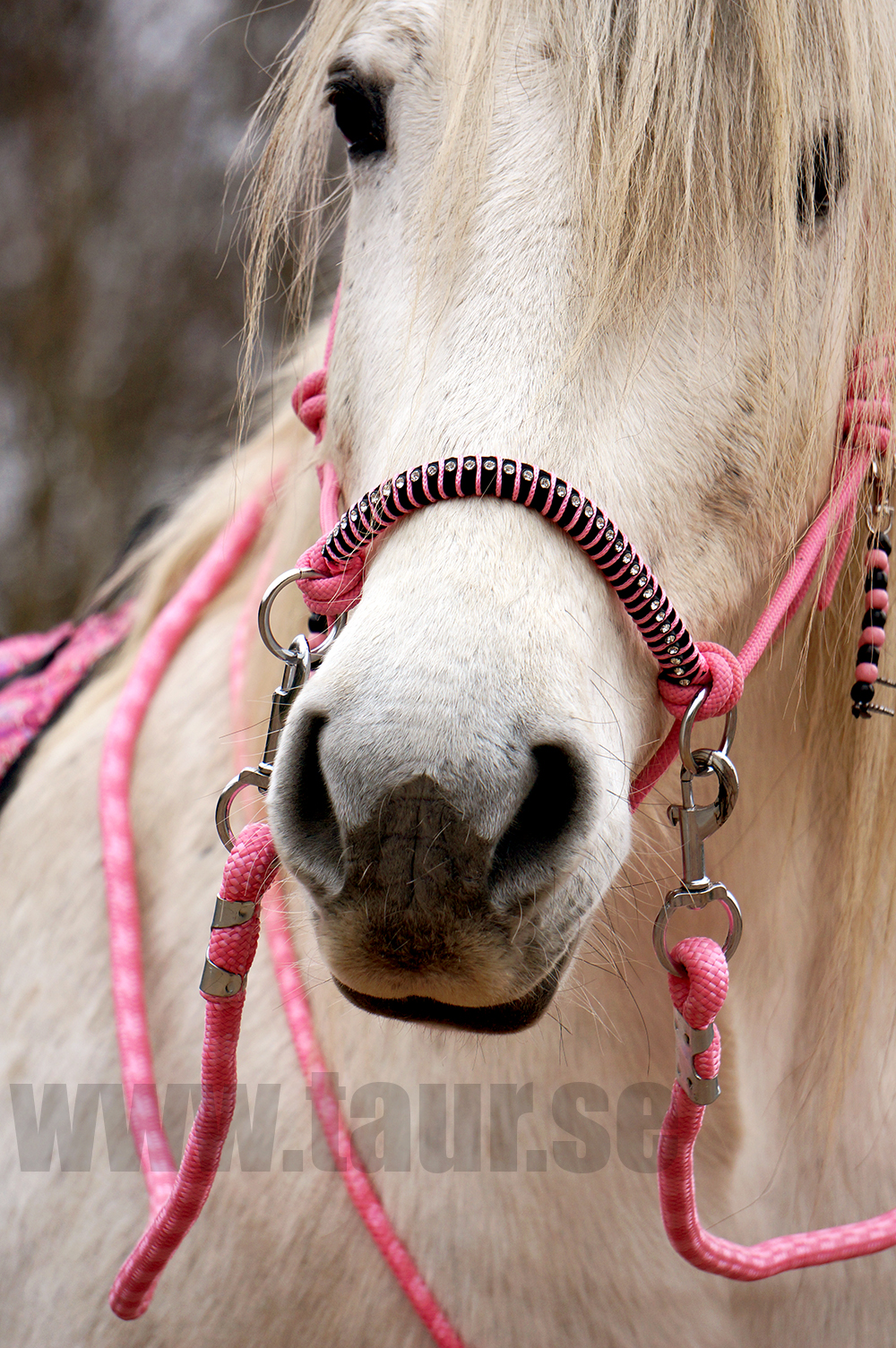 Rope halter combi Liberty QHP, light pink - 4