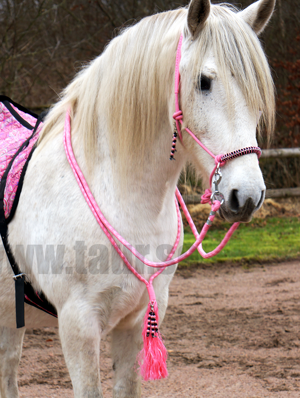 Rope halter combi Liberty QHP, light pink - 5