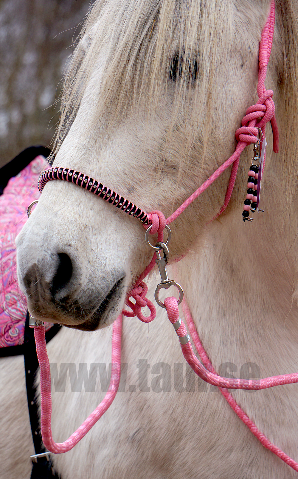 Rope halter combi Liberty QHP, light pink - 6