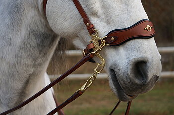Hackamore bridle Noble by Opux®, chocolate
