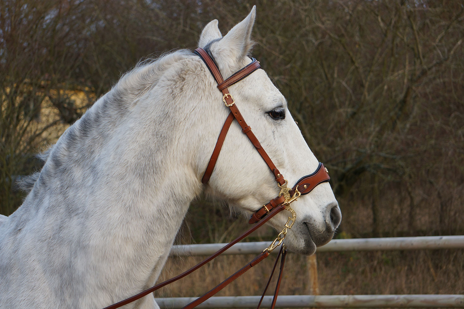 Hackamore bridle Noble by Opux®, chocolate - 6