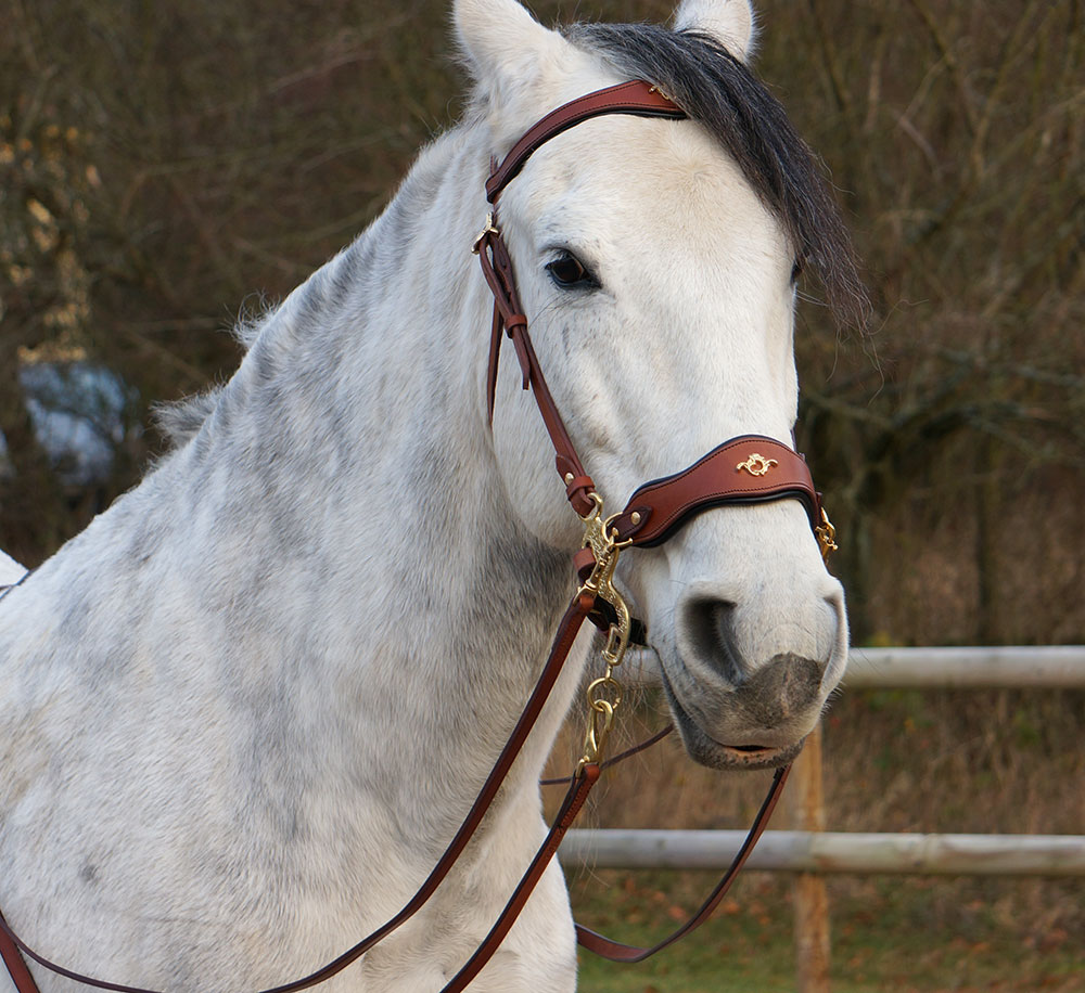 Hackamore bridle Noble by Opux®, chocolate - 8