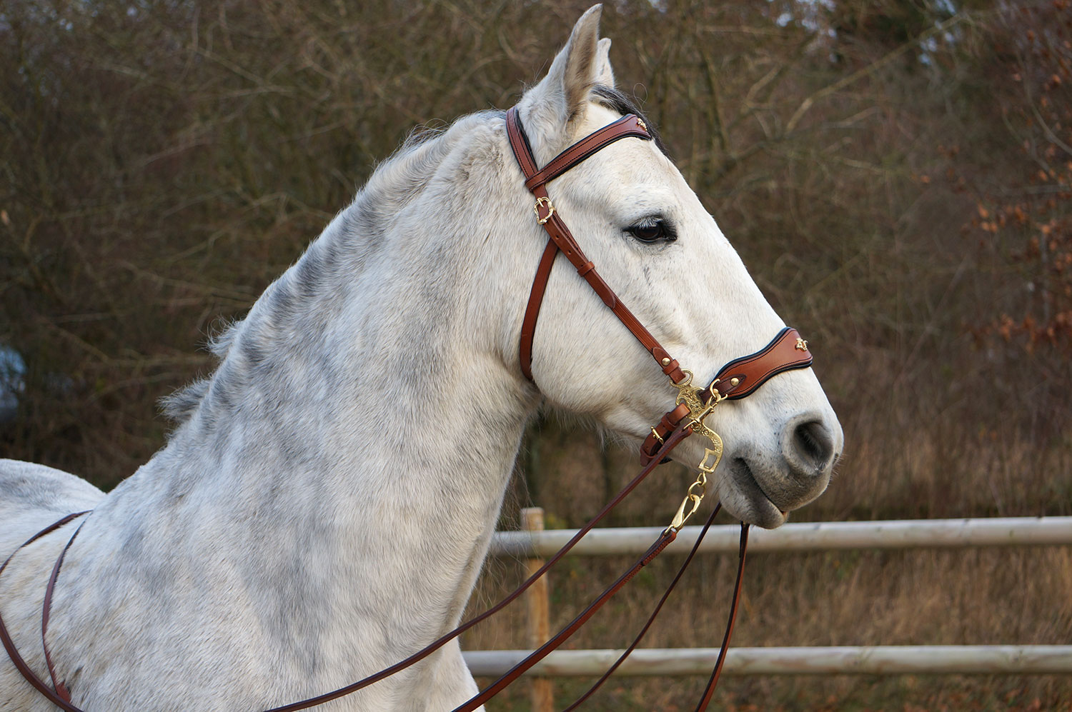 Hackamore bridle Noble by Opux®, chocolate - 4