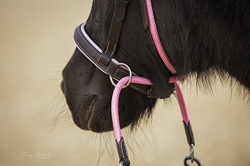 Barefoot® Bitless Bridle Lily Ponny, rosa