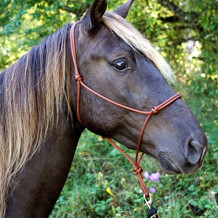 Ropehalter Buck Brannaman #124, brown