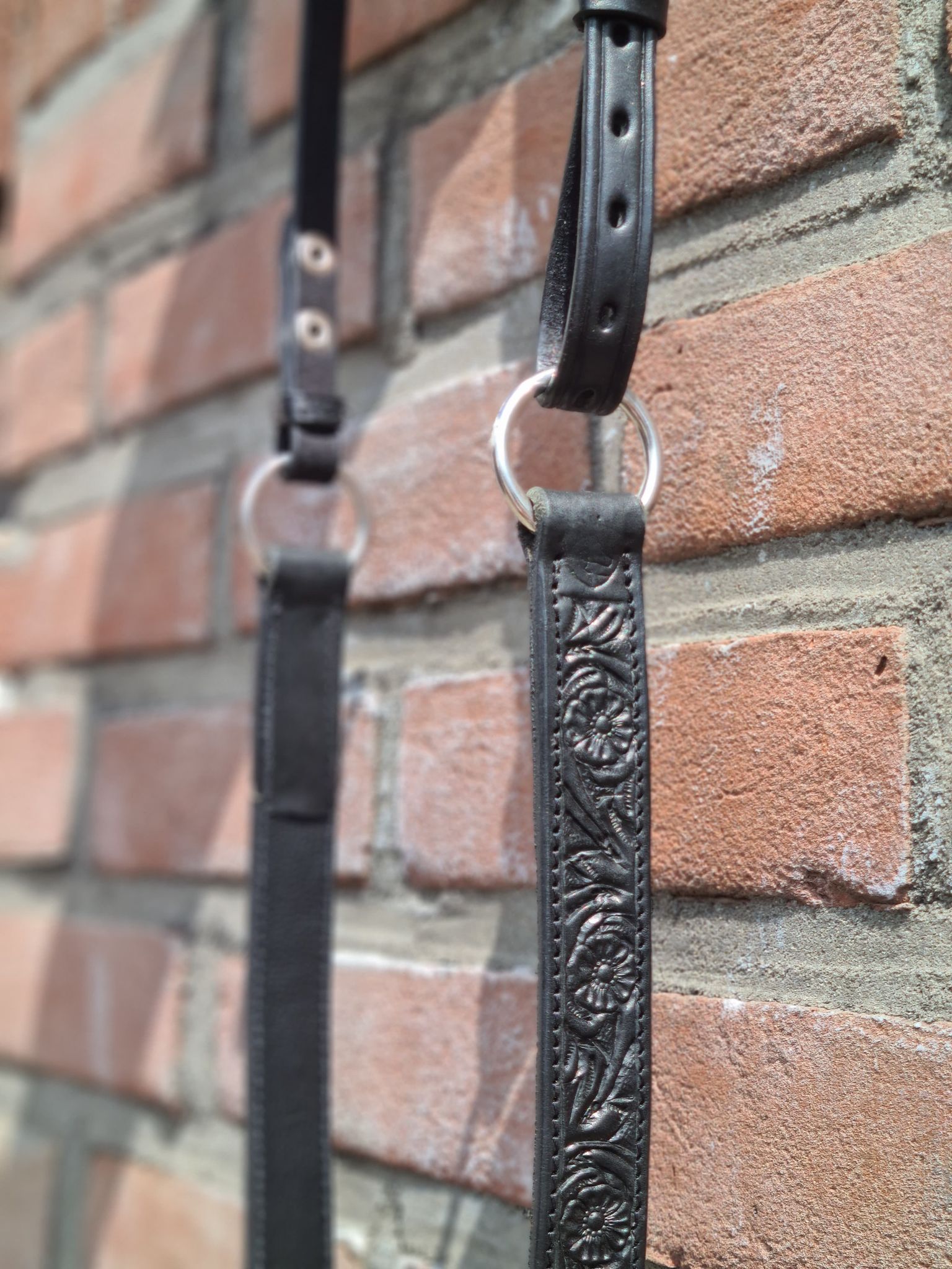 Neck ring / cordeo Edix© Rose, black - 7