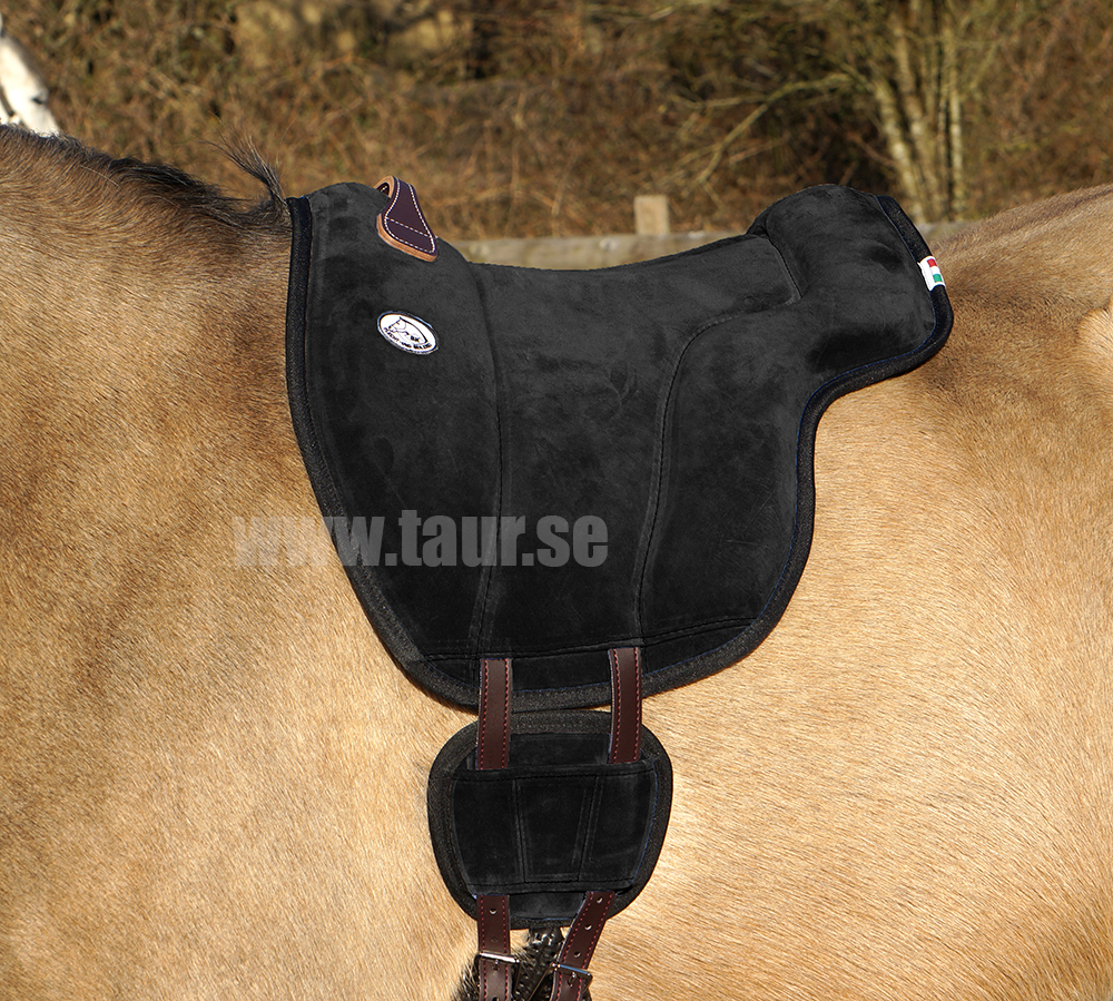 Brockamp ride pad / barebackpad in suede 'Special', PONY - 2