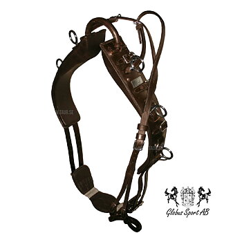Lunging / training Surcingle, Globus DeLuxe - Dark Brown