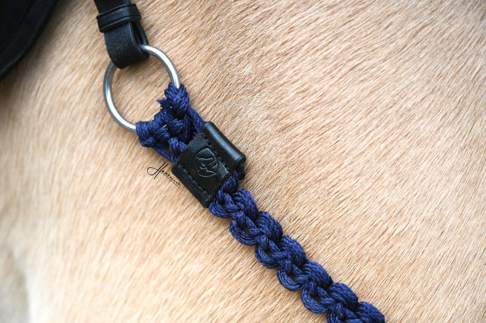 Neck ring / cordeo Edix© Aisha, black - 9