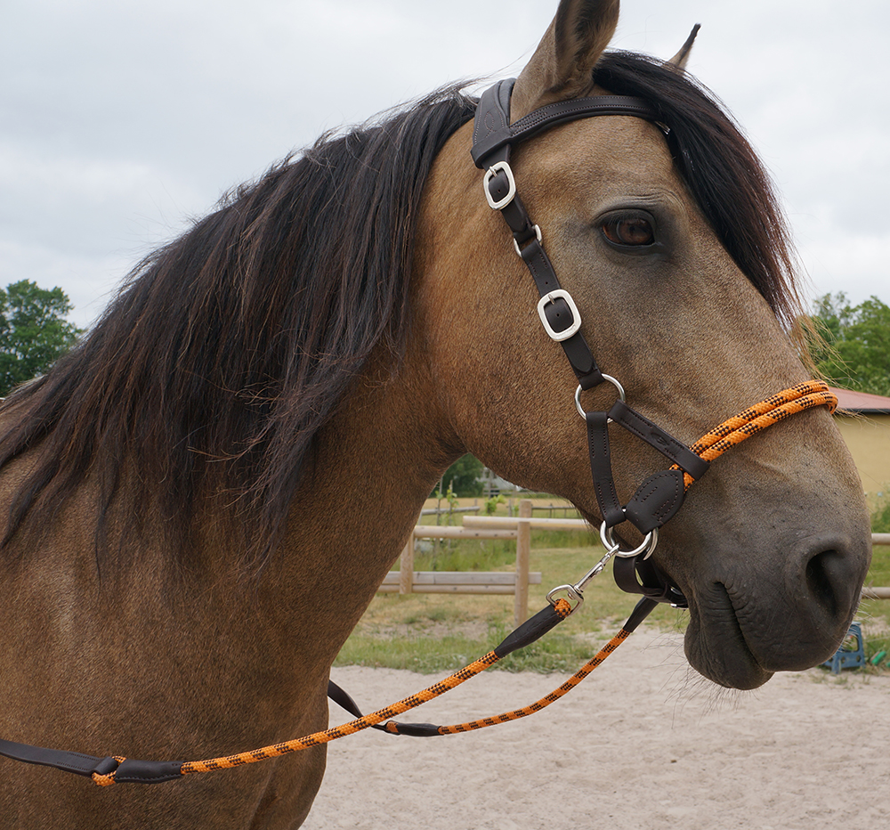 Barefoot® Syringa Crossunder/Sidepull (incl. reins), darkbrown/orange - 7