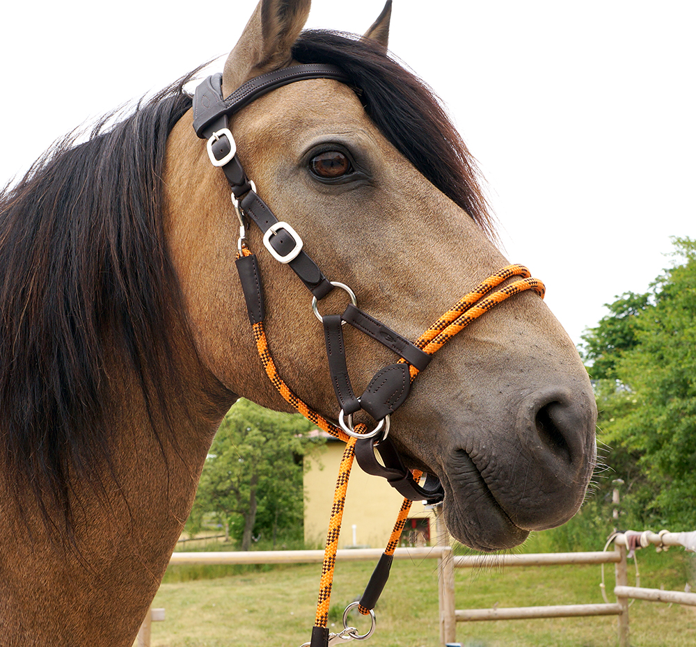 Barefoot® Syringa Crossunder/Sidepull (incl. reins), darkbrown/orange - 3