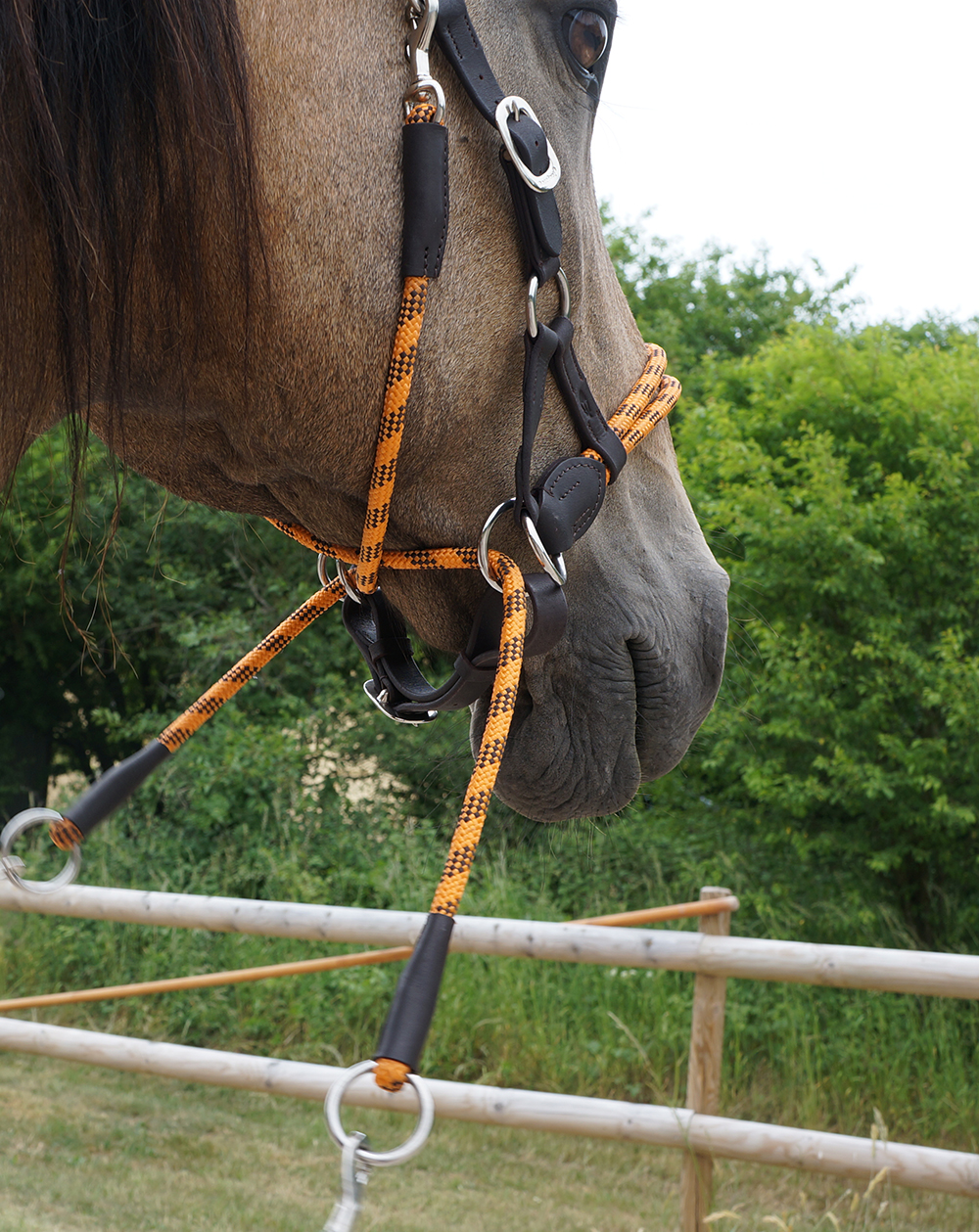 Barefoot® Syringa Crossunder/Sidepull (incl. reins), darkbrown/orange