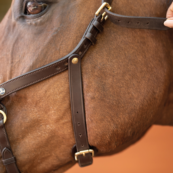 Cavesson 'Busse Anatomix', for riding and lunging, solid iron, brown - 6