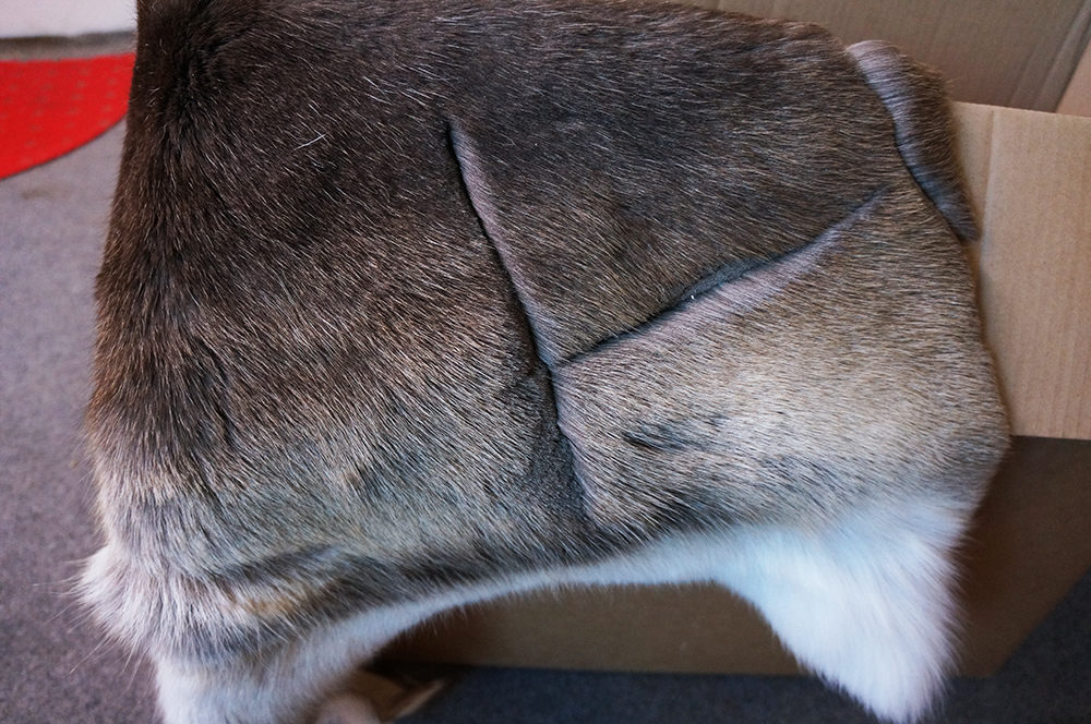 Reindeer fur (saddle pad), S - 6