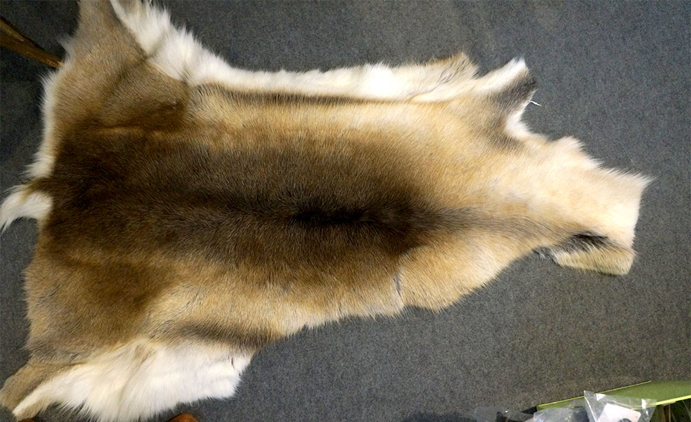 Reindeer fur (saddle pad), S - 13