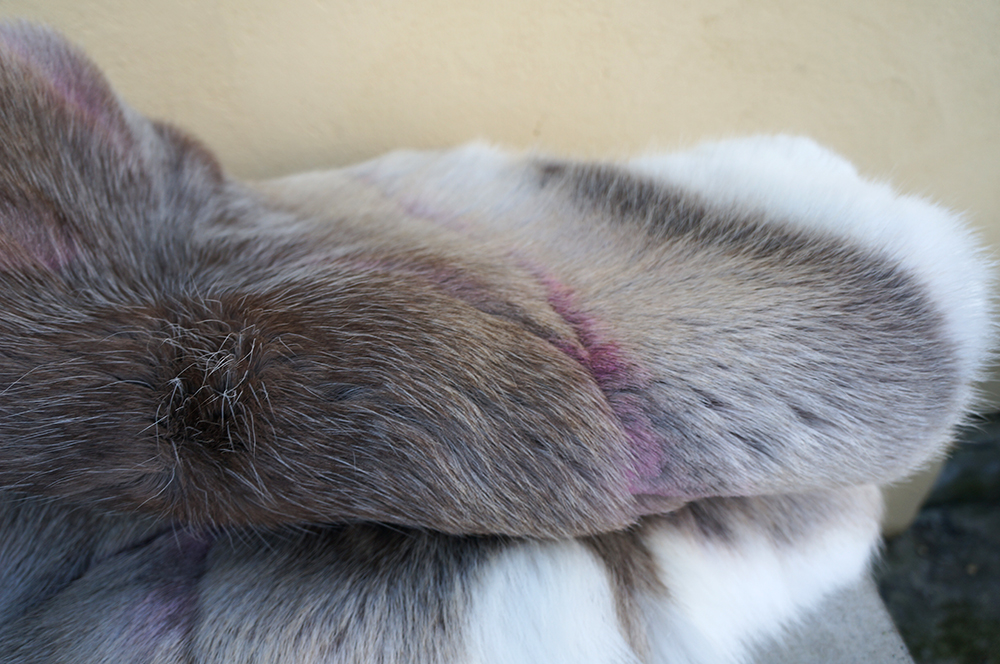 Reindeer fur (saddle pad), S - 3