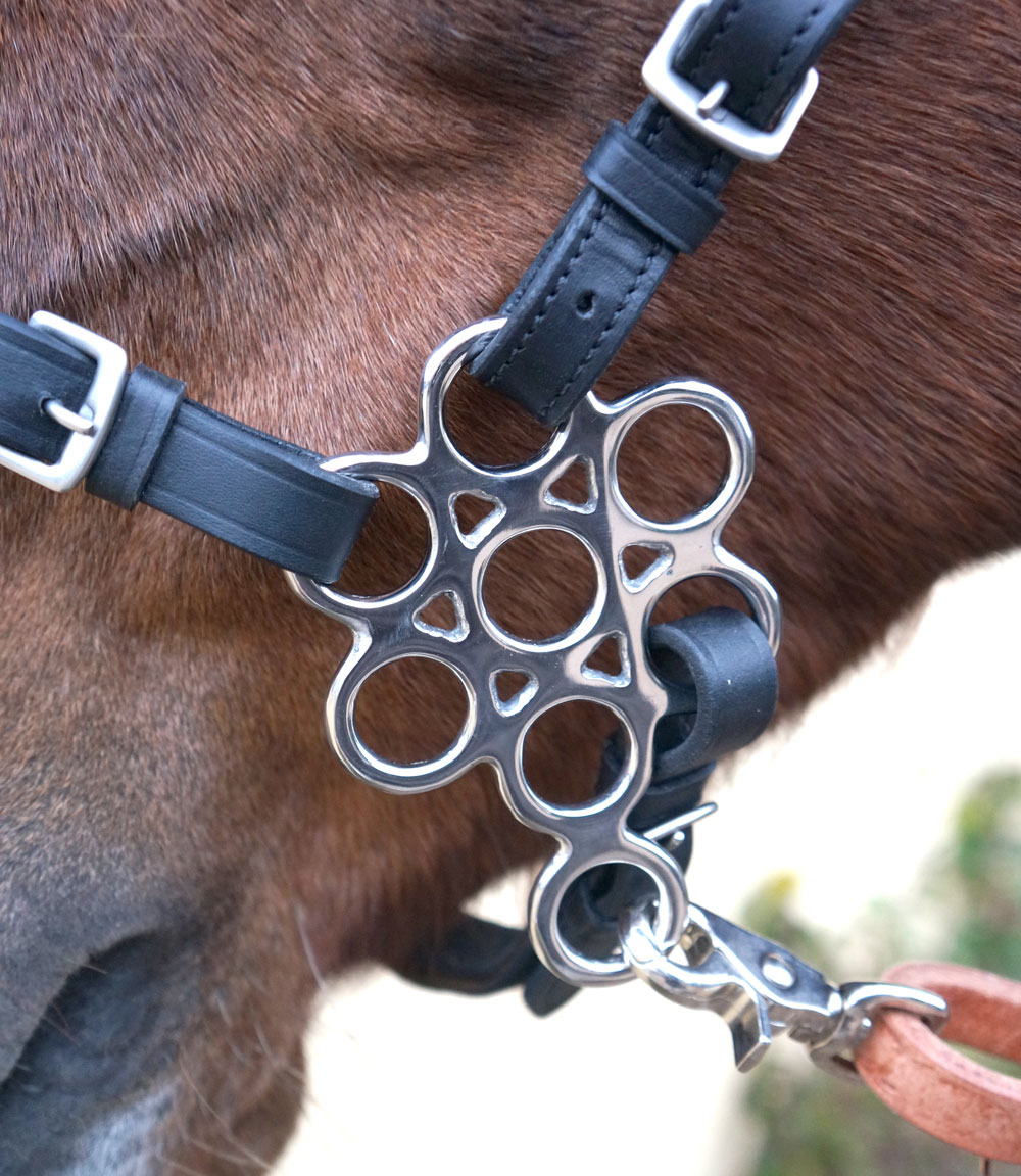 Hackamore shanks - Flower  Medium, gold - 3