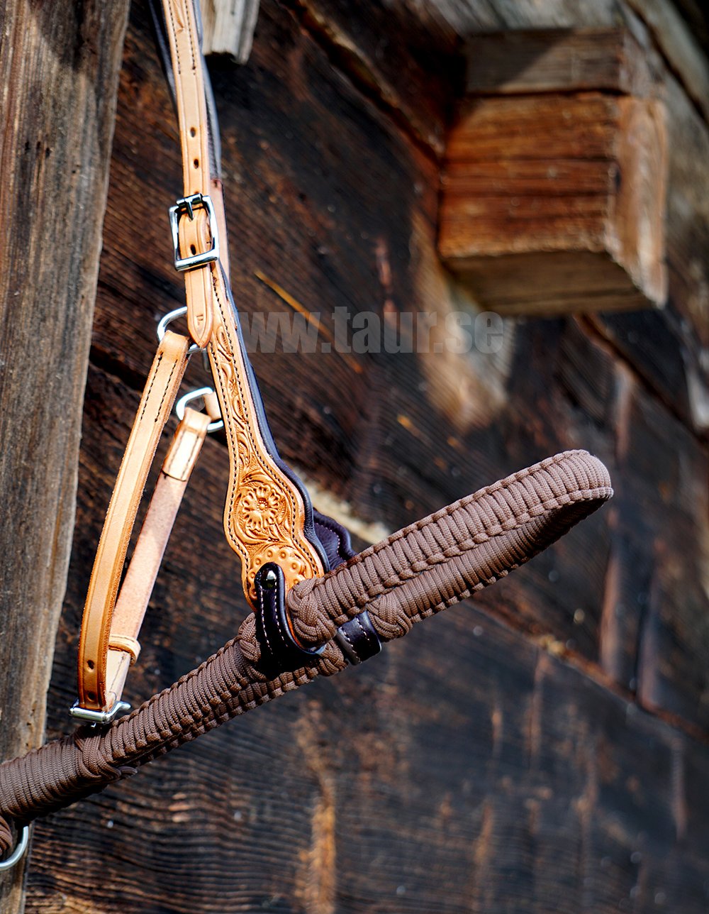 Bosal Edix© Alano, burgundy - 3