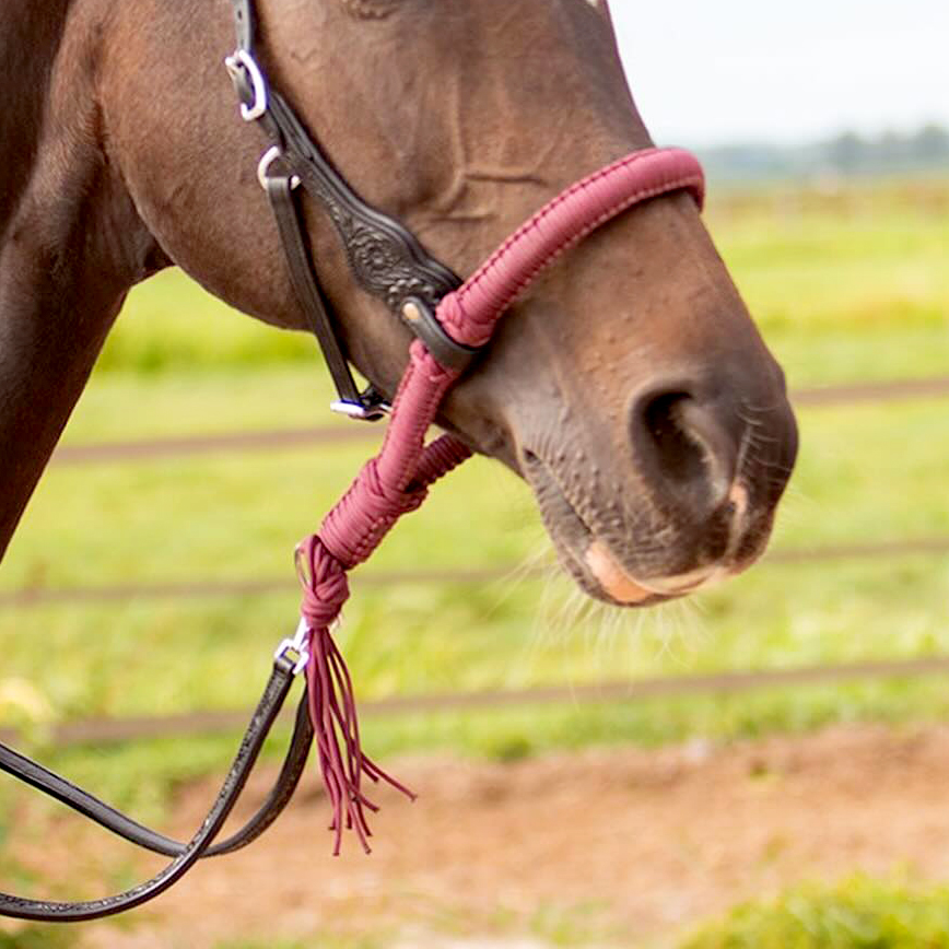 Bosal Edix© Alano, burgundy