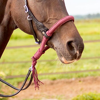 Bosal Edix© Alano, burgundy